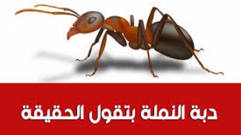 المستقبل اليوم