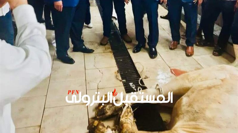 المستقبل اليوم