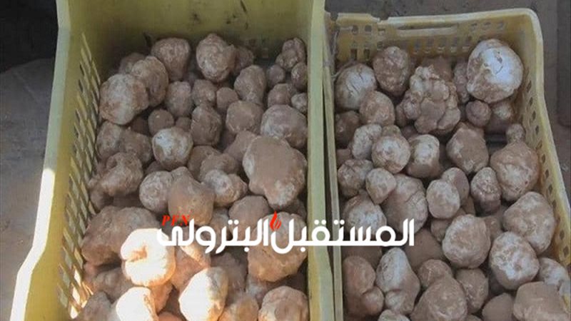 المستقبل اليوم