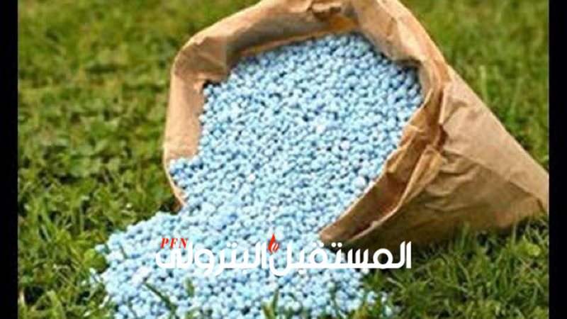 المستقبل اليوم