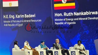 كريم بدوي : قطاع الطاقة مسئول عن انبعاثات الغازات الدفيئة