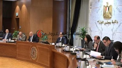 مصر تستعد لطرح 12 مشروعاً لمعالجة المياه وشبكات الكهرباء