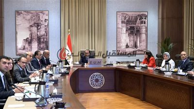 رئيس الوزراء يستعرض مع وزير الكهرباء موقف مشروعات الطاقة الجديدة والمتجددة طبقاً لرؤية 2040