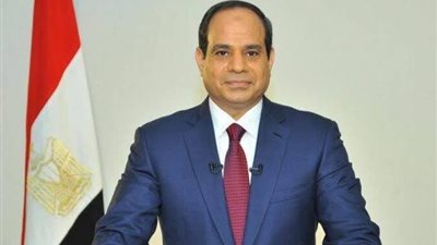 السيسي يوجه وزير البترول بتسريع توطين صناعة البتروكيماويات
