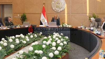 وزير الكهرباء يترأس الجمعية العامة للشركة القابضة لكهرباء مصر