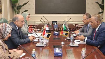 وزير الكهرباء يبحث مع وزير النفط والطاقة السوداني سبل التعاون فى مجالات الكهرباء والطاقة