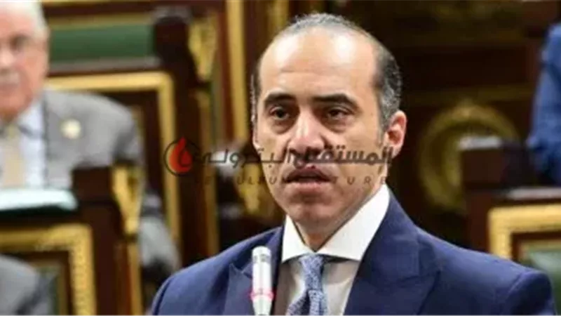 المستشار محمود فوزى