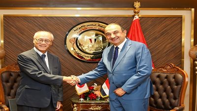 وزير قطاع الأعمال العام يستقبل سفير اليابان بالقاهرة لبحث التعاون المشترك