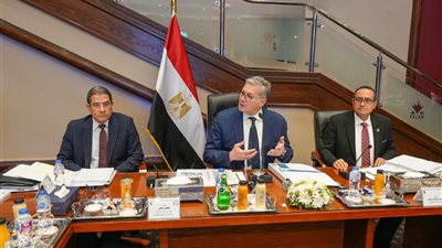 اعتماد الجمعية العمومية للشركة القابضة للغازات الطبيعية إيجاس