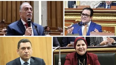 أبرزهم: مايسه وعابد وياسر  والقصبي..تعرف على أسماء المستبعدين قائمة النواب