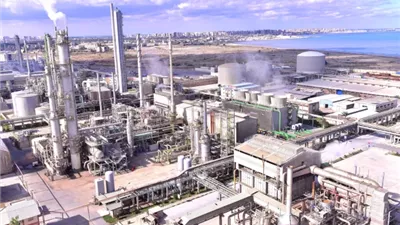 الحكومة تتدخل لإعادة المعادلة السعرية لقطاع الأسمدة