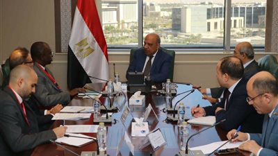 مصر تبحث توسيع مشاركة القطاع الخاص في مجال الكهرباء والطاقة المتجددة