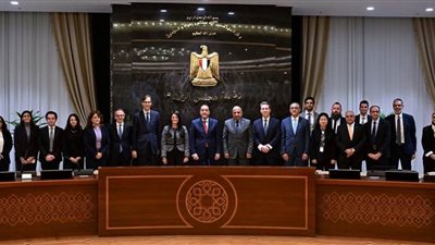بدعم أوروبي وتمويل 200 مليون يورو… استثمارات جديدة في شبكة الكهرباء تقود مصر نحو التحول الأخضر