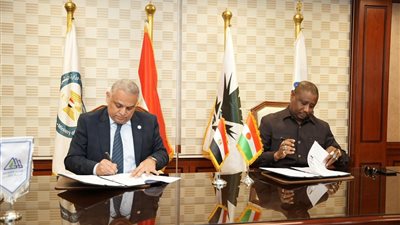 غاز مصر تغزو إفريقيا وتفتح مجالات عمل في النيجر