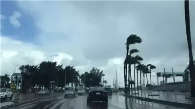 الطقس اليوم.. انخفاض بالحرارة وشبورة وضباب وأمطار والصغرى بالقاهرة 10