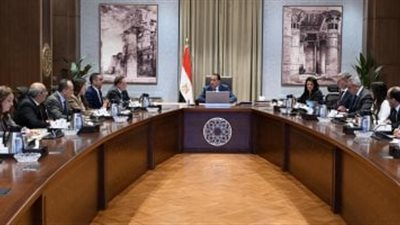 مدبولي يتابع جهود تحقيق الاكتفاء الذاتي من المنتجات البترولية