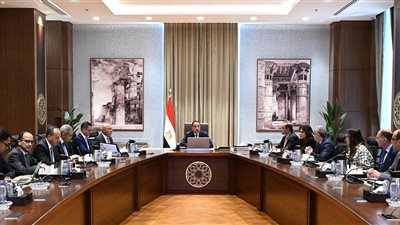 رئيس الوزراء يعقد اجتماعاً لبحث فرص توطين صناعة السيارات وزيادة تنافسية المناطق الحرة