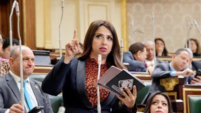 الثلاثاء: النواب يناقش القانون 73 وعودة المفصولين