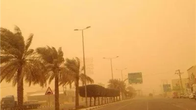 طقس اليوم السبت 14-2-2026.. أجواء مائلة للحرارة ونشاط للرياح والأتربة