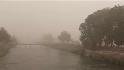 الطقس اليوم.. دافئ نهارا بارد ليلا ونشاط رياح حتى القاهرة الكبرى وأتربة