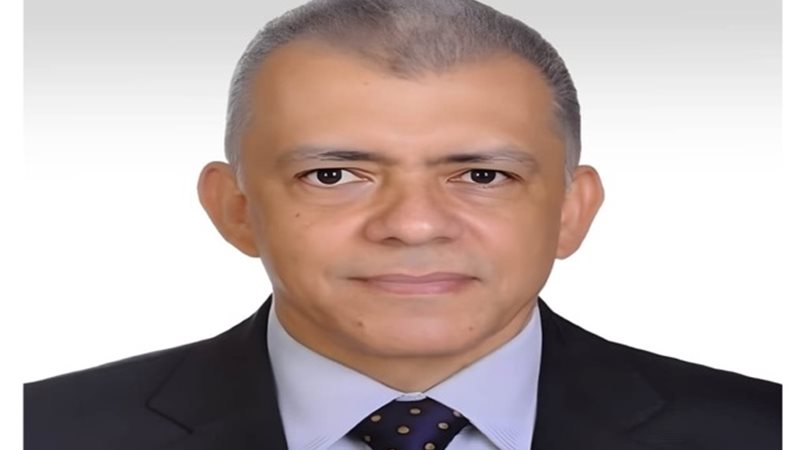 المهندس محمد زكريا