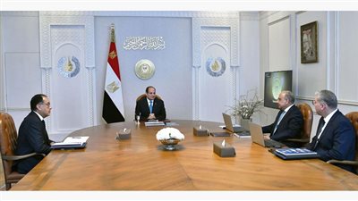 الرئيس عبدالفتاح السيسي يجتمع مع وزيري البترول والكهرباء 