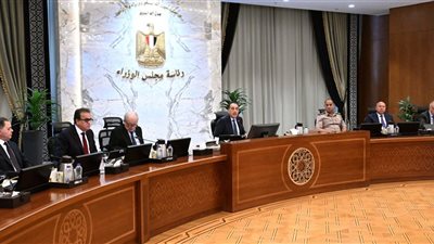 مجلس الوزراء يوافق على تأسيس شركة جديدة (تعرف عليها)