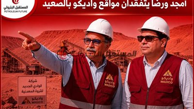 أمجد غنيم ورضا سليم يتفقدان مواقع واديكو بالصعيد
