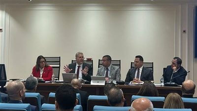 أحلام كريم بدوي: مساهمة الطاقة المتجددة ب 42% في 2030