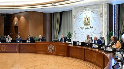 مدبولي: اجتماعات مستمرة لتدبير احتياجات الوقود وضمان استقرار الكهرباء.