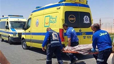 إصابة 22 سيدة في حادث انقلاب سيارة ربع نقل بالشرقية