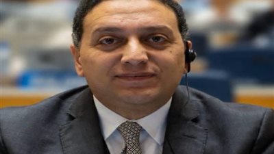 محمد عادل متحدثاً رسمياً باسم رئاسة مجلس الوزراء