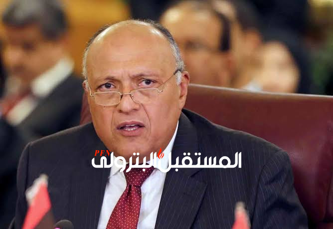 مصر تتقدم بخطابات رسمية للأمم المتحدة ومجلس الأمن بشأن سد النهضة
