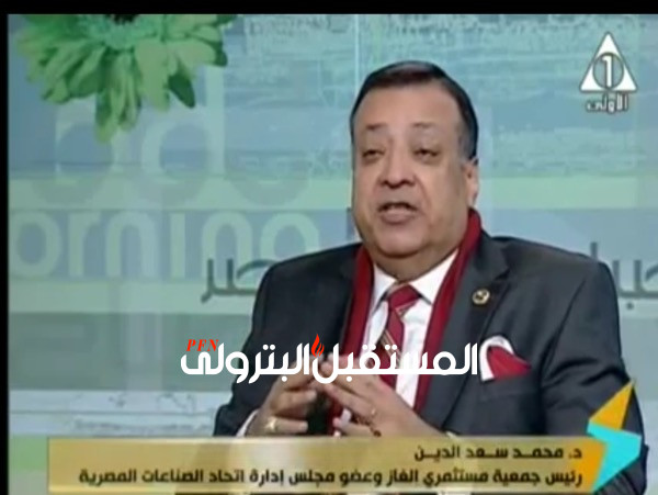 بالفيديو ..د.محمد سعد الدين:- المواطن سيشعر بعائد المشروعات القومية قريبا.