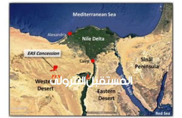 عاجل: ثروة تحقق کشف بترولى جديد في شرق ابوسنان بالصحراء الغربية